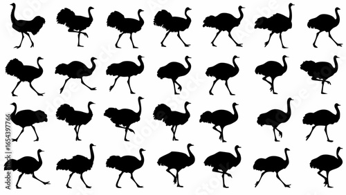 Silhouette depictions of ostriches in various walking and standing poses arranged in a grid pattern