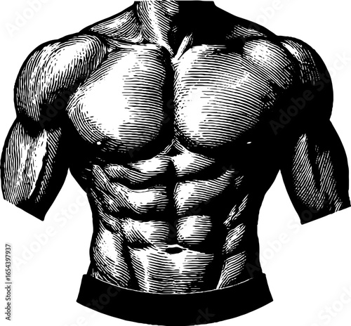 Vintage engraving of athletic male torso for fitness and health design