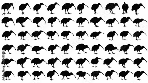 Silhouette depictions of kiwi birds in various poses arranged in a grid like pattern