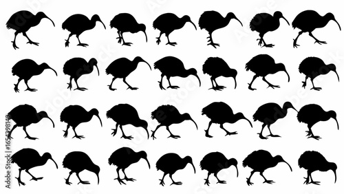 Silhouette pattern of kiwi birds in various poses against a white background creating a dynamic composition