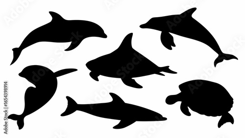 Silhouette illustration showcasing various marine animals including dolphins and a sea turtle in black