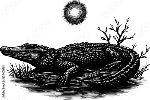 Vintage engraved illustration of crocodile resting by river with sun