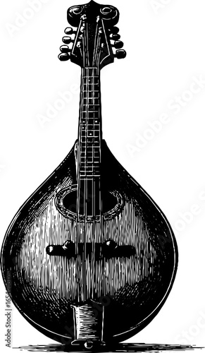 Vintage mandolin engraved illustration for music design