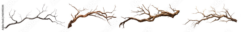 Fototapeta premium PNG Decorative natural dry tree branches, element set on transparent background