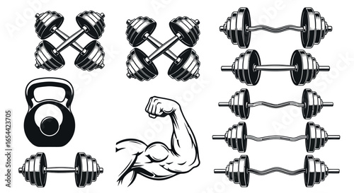 Fitness gym training weights dumbbells muscle vector illustration