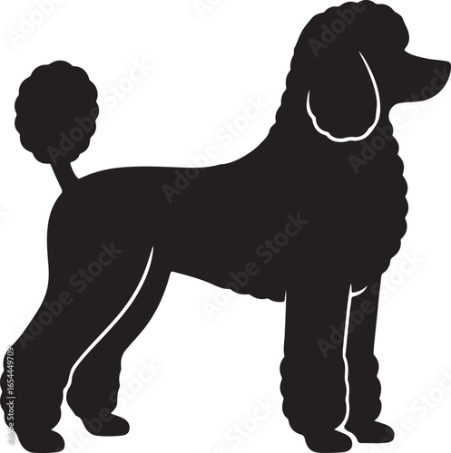 Elegant black poodle silhouette standing tall side view