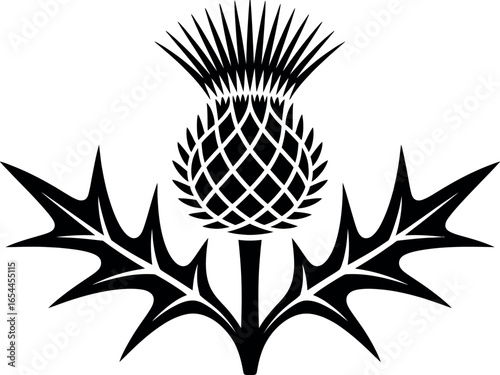 A black and white graphic illustration of a thistle with leaves and a spiky flower head design art