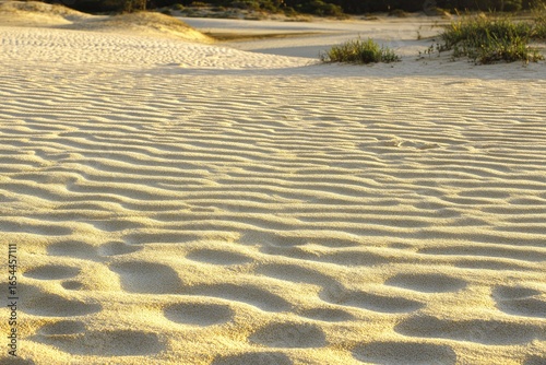Fototapeta Naklejka Na Ścianę i Meble -  Close-up of rippled, light beige sand dunes