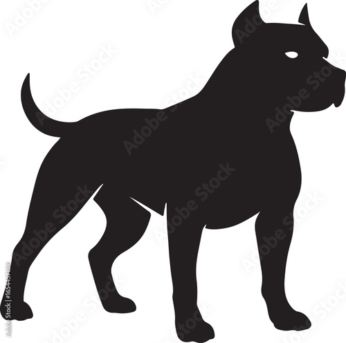Silhouette of a muscular pitbull dog standing confidently isolated