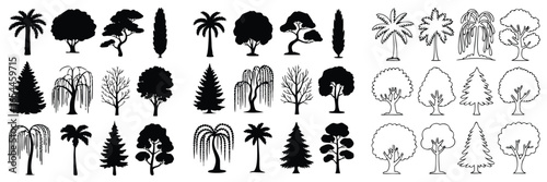 Different Types of Trees in Silhouette and Outline Style, Illustration of Palm, Pine, Weeping Willow
