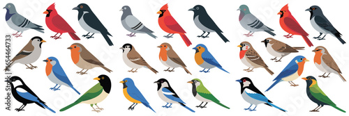 Illustrated Collection Assorted Birds, Including Pigeon, Cardinal, Robin, Bluebird, Starling, Sparrow, Magpie, and Green Bird