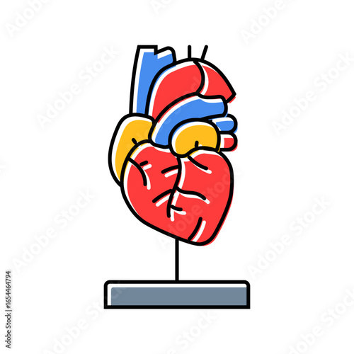 heart model cardiology accessories color icon vector illustration