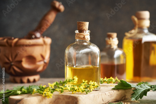 Herbal tincture with fresh blooming agrimony plant on a table