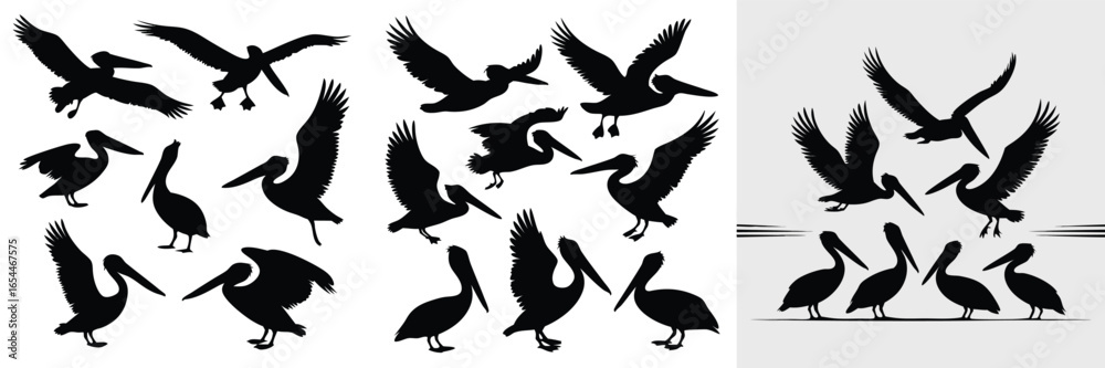 Fototapeta premium Pelican Silhouette Illustrations Flying, Standing, and Grouped Bird Vectors for Design Projects