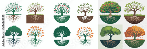 Set of Tree Illustrations Deciduous, Apple Trees, and Trees with Visible Root Systems in Various Seasons