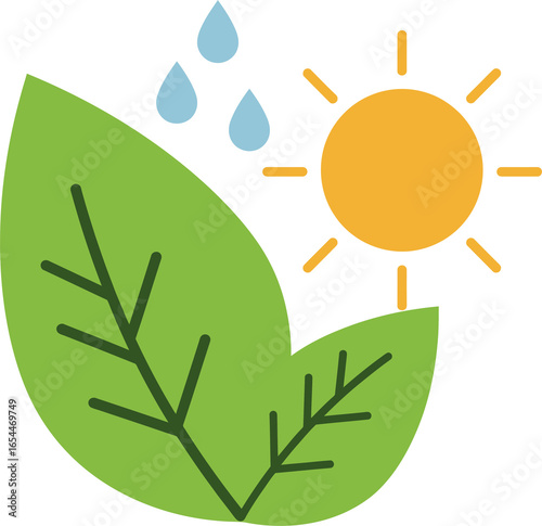 Photosynthesis Concept with Leaf, Sun, and Water Drops