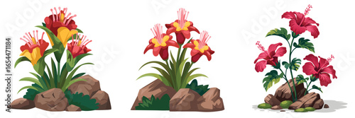 Three Floral Arrangements Red and Yellow Flowers Growing from Rocks with Green Plants