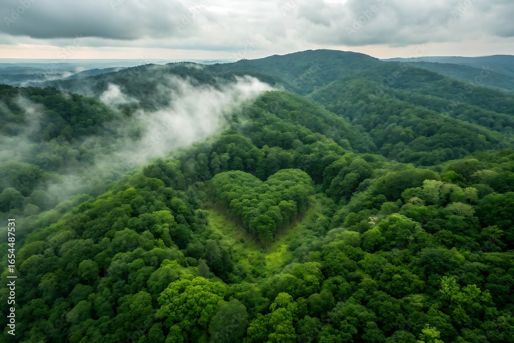 Aerial view of heart shaped forest clearing in misty green mountains landscape Aerial view of heart shaped forest clearing in misty green mountains landscape