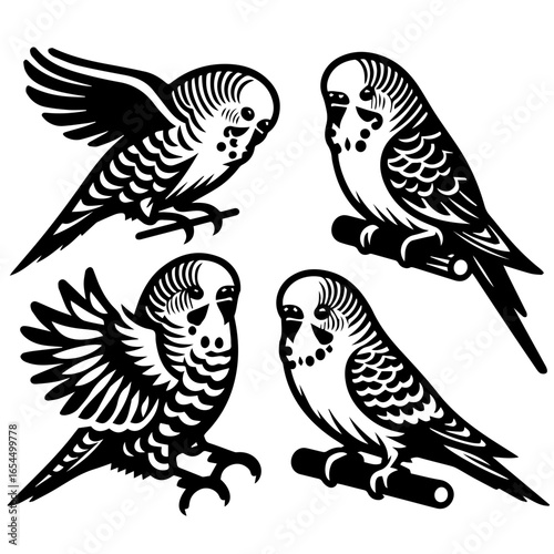 Four budgerigars in black and white with wings spread and perched on branches in a vector image