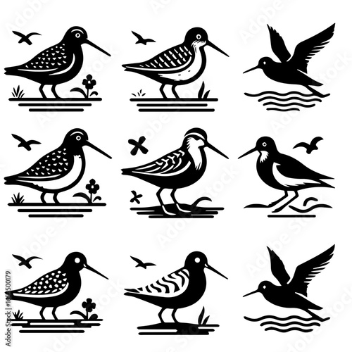 Collection of nine black and white stylized shorebirds in various poses and settings on a white background
