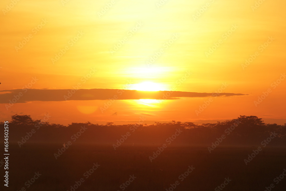 Fototapeta premium sunrise over the river