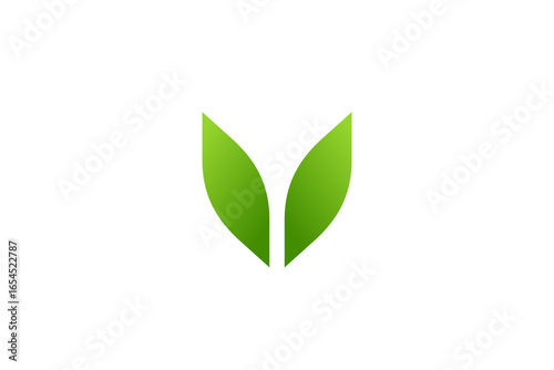 Letter V eco leaves logo icon design template elements
