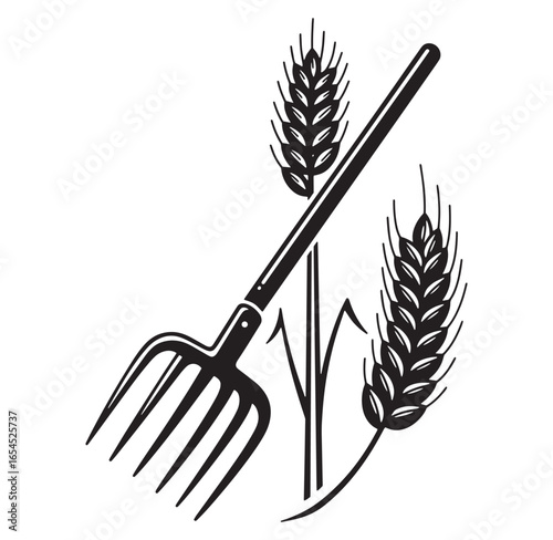 Agricultural illustration of wheat stalks and pitchfork isolated on white background