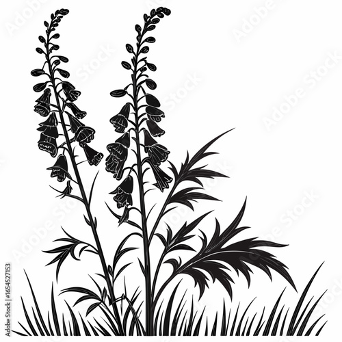 aconitum forex vector