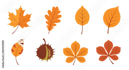 Variety of Autumn Leaves and Chestnut Icons