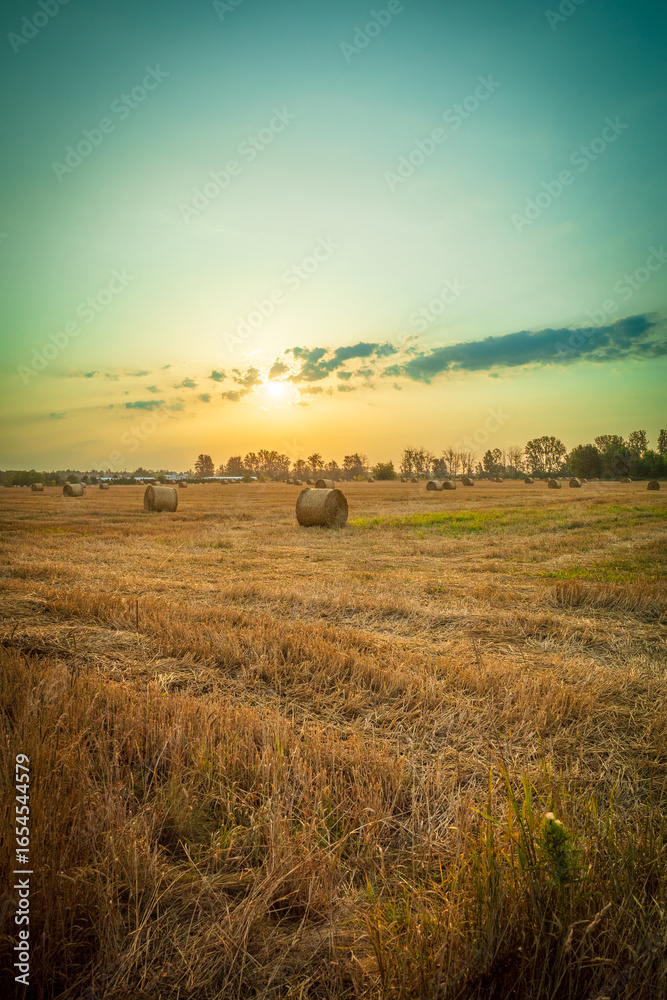 Foto Harvest Sunset