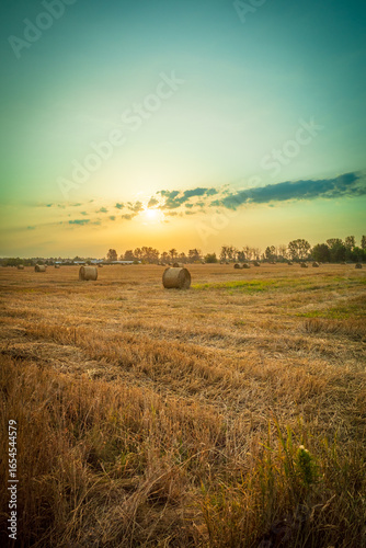 Harvest Sunset