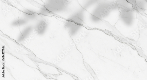 White marble background with delicate veining and soft leaf shadows — elegant, neutral, professional, and discreet.
