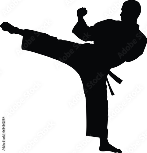 Martial arts high kick silhouette, traditional uniform with belt, dynamic pose, vector illustration, combat sport, flexibility, strength, discipline
