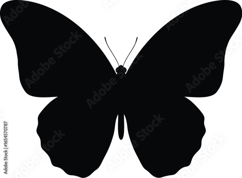 Silhouette butterfly, nature, metamorphosis
