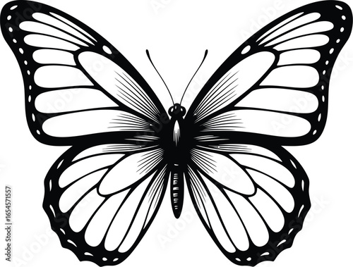 Detailed Butterfly Illustration, Black and White Wing Pattern Design