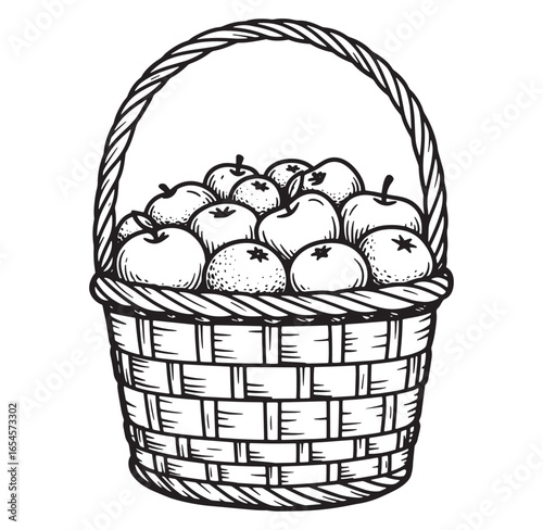 A hand drawn black and white illustration of a wicker basket filled with apples