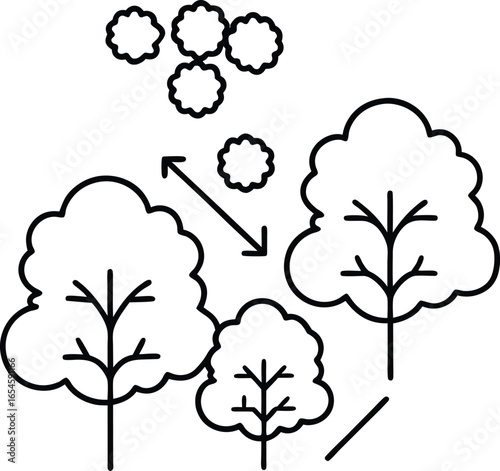 Tree Growth Stages Seed to Sapling to Mature Tree Illustration