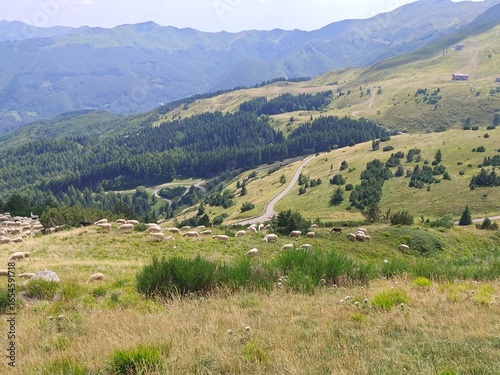 Canvastavla Peaceful Countryside Landscape Under a Blue Sky