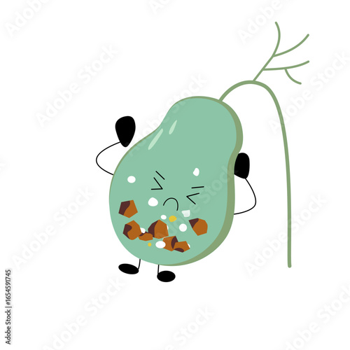 Gallbladder with stone. Care and treatment of gallstones, cholecystitis.Gallbladder disease concept.