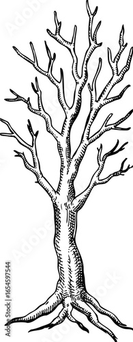 Old bare tree with twisted branches sketch. Halloween hand drawn vector illustration. Gothic icon. NOT AI generated