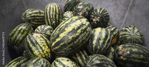 Wallpaper Mural THe Green Watermelon Natural Fruit Torontodigital.ca