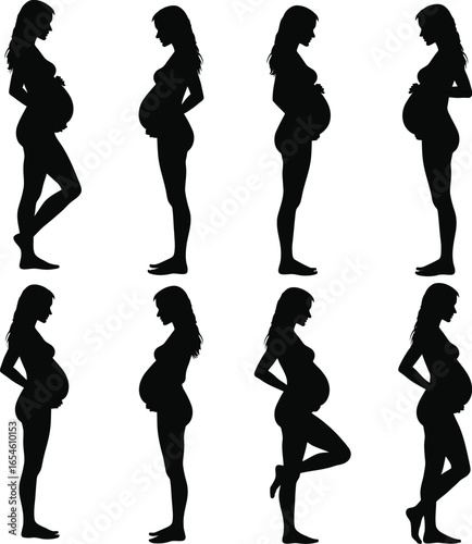 Pregnant woman silhouettes stages of pregnancy