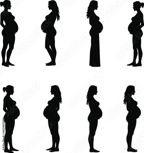 Pregnant women silhouettes stages of pregnancy