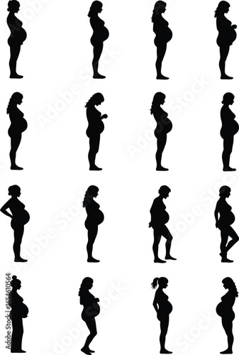 Pregnant women silhouettes stages of pregnancy