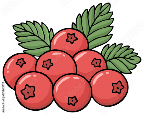 Close up illustration of red berries with green leaves