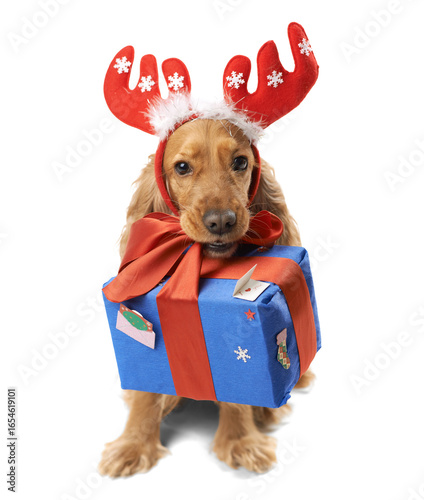 Dog Wearing Antlers Holding Gift