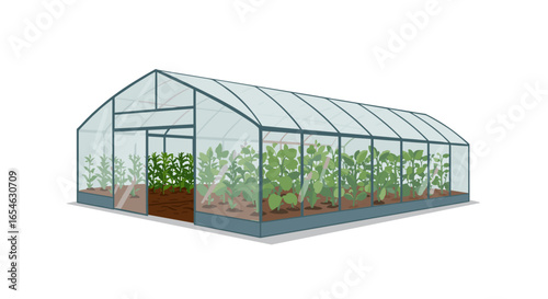 Modern greenhouse filled with lush plants and vegetables in clear glass structure