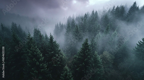 Misty forest landscape background wallpaper, dark moody trees, pine forest in fog, nature photography 4k