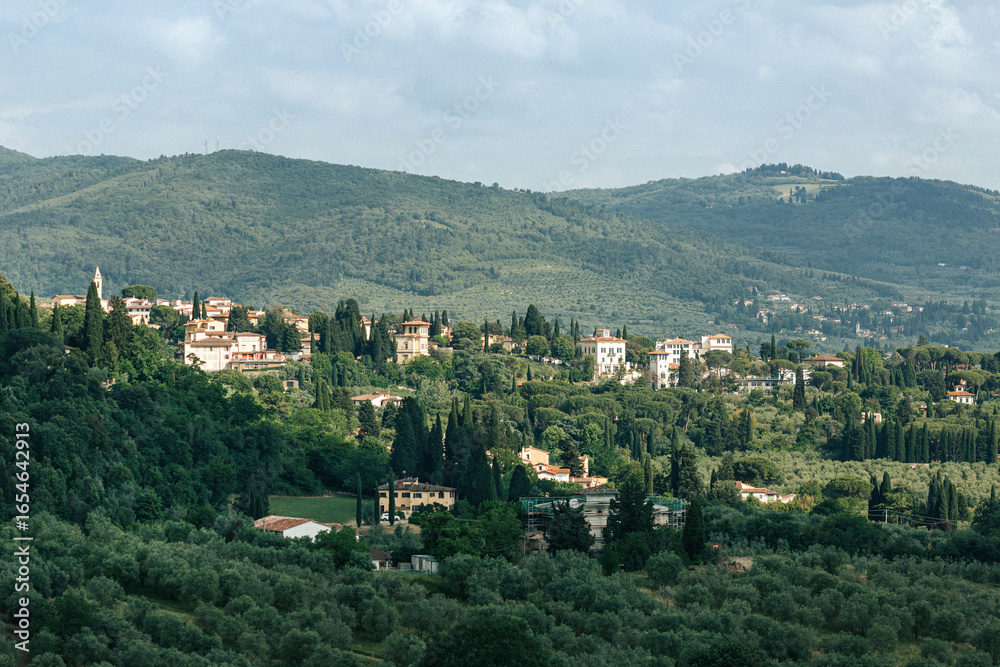 Fototapeta premium Tuscan dreamy landscape with rural houses and vineyards. Green hills with vineyards and cypress trees