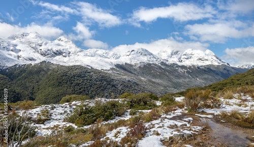 Wallpaper Mural View of snow-capped mountains, Key Summit, Routeburn Track, Fiordland National Park, Te Anau, Southland, South Island, New Zealand Torontodigital.ca